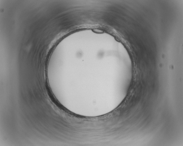 X0000069360011200606021504