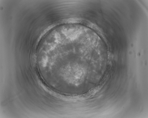 X0000069360012200606021504