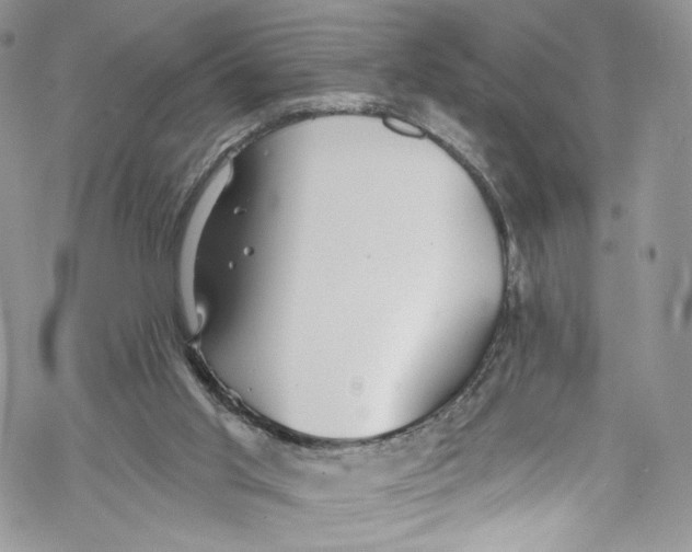 X0000069360013200606021504