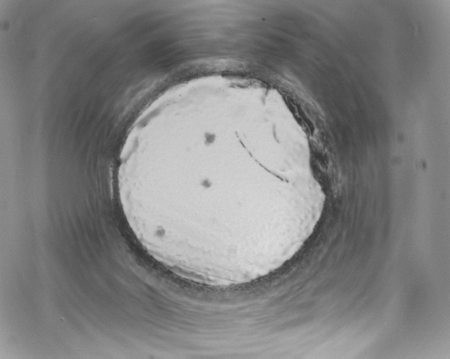 X0000069360014200606021504