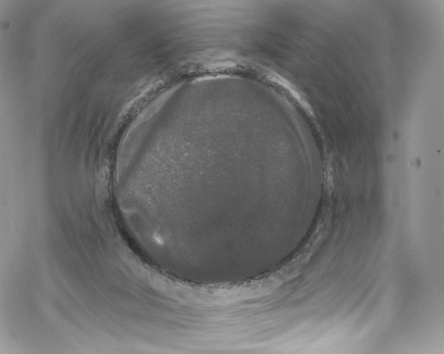 X0000069360018200606021504