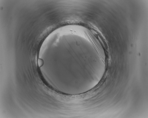 X0000069360019200606021504