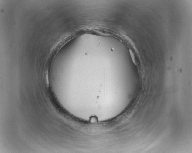 X0000069360020200606021504