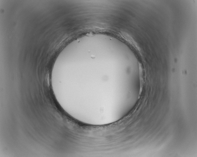 X0000069360021200606021504