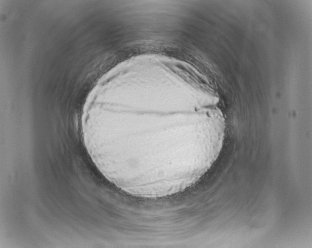 X0000069360022200606021504