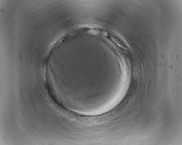 X0000069360023200606021504