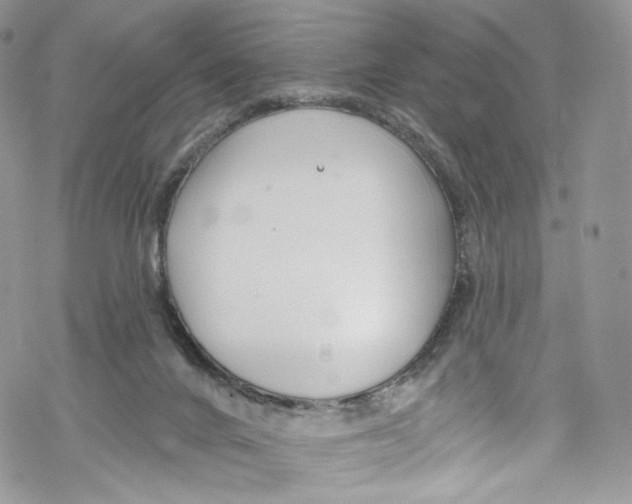 X0000069360024200606021504