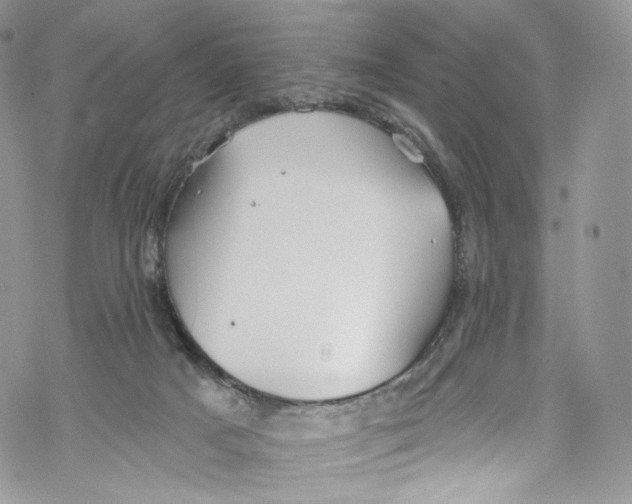 X0000069360025200606021504