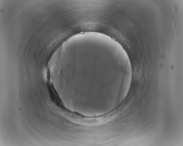 X0000069360027200606021504