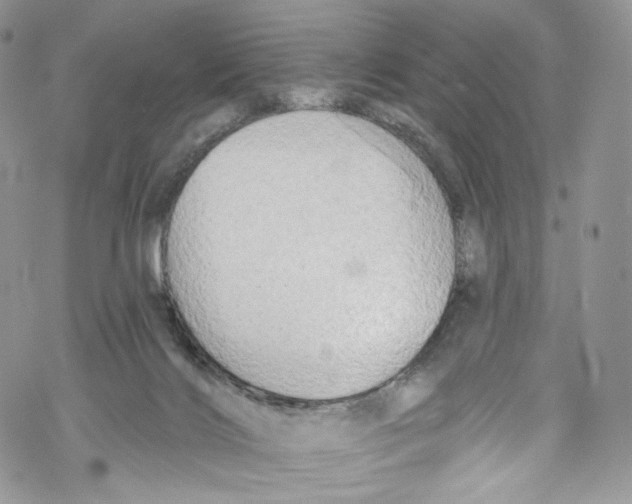 X0000069360028200606021504