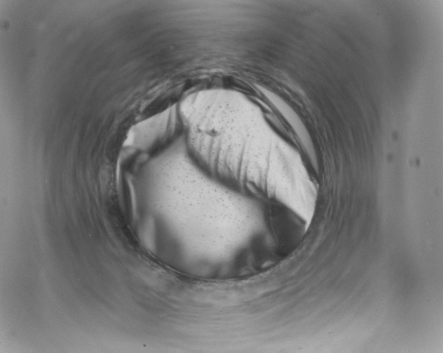 X0000069360029200606021504