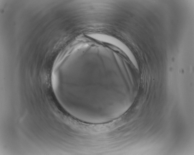 X0000069360031200606021504