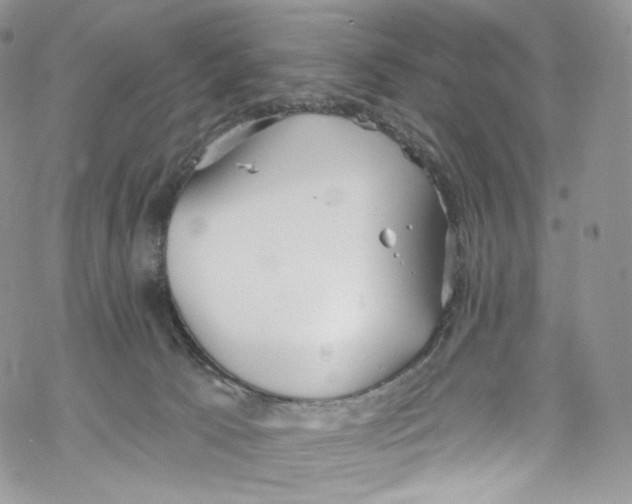 X0000069360033200606021504