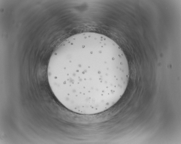 X0000069360034200606021504