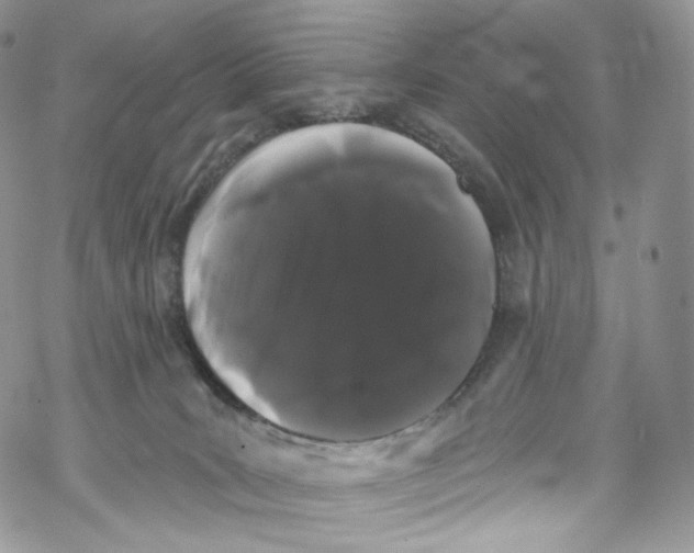 X0000069360035200606021504