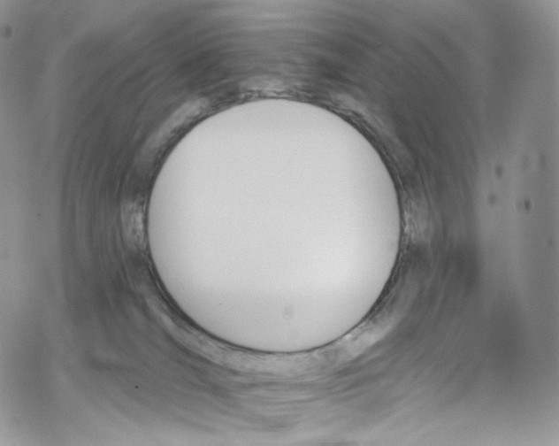 X0000069360036200606021504