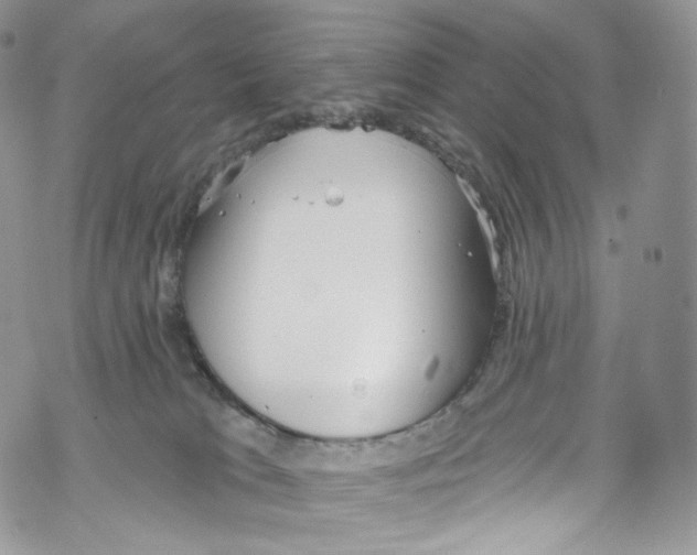 X0000069360037200606021504