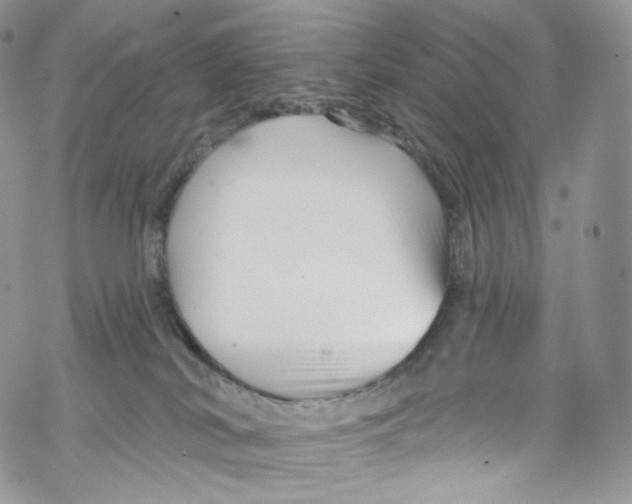 X0000069360038200606021504