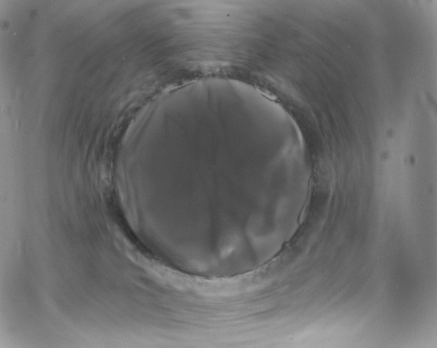 X0000069360039200606021504