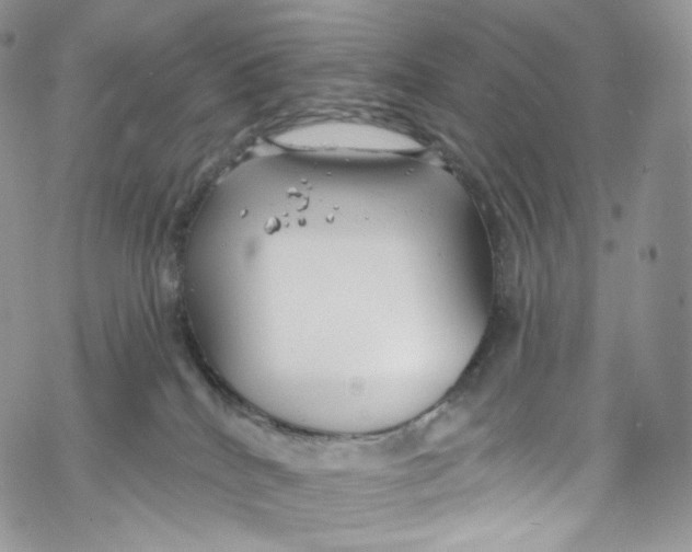 X0000069360040200606021504