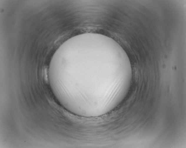 X0000069360042200606021504