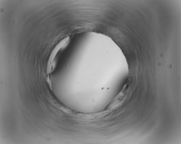 X0000069360045200606021504