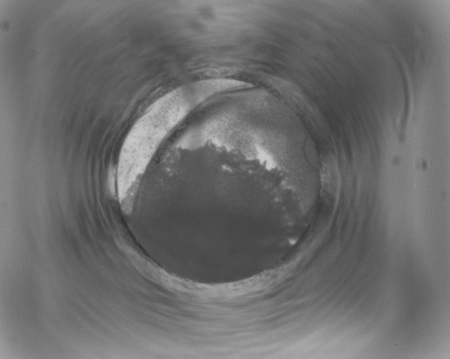 X0000069360046200606021504