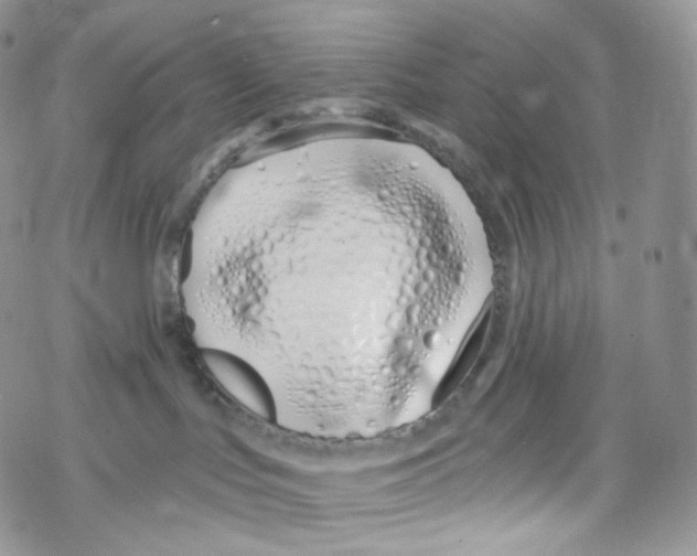 X0000069360047200606021504