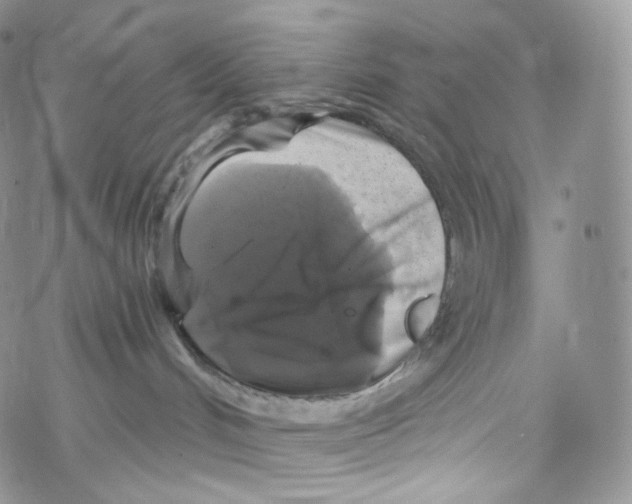 X0000069360048200606021504