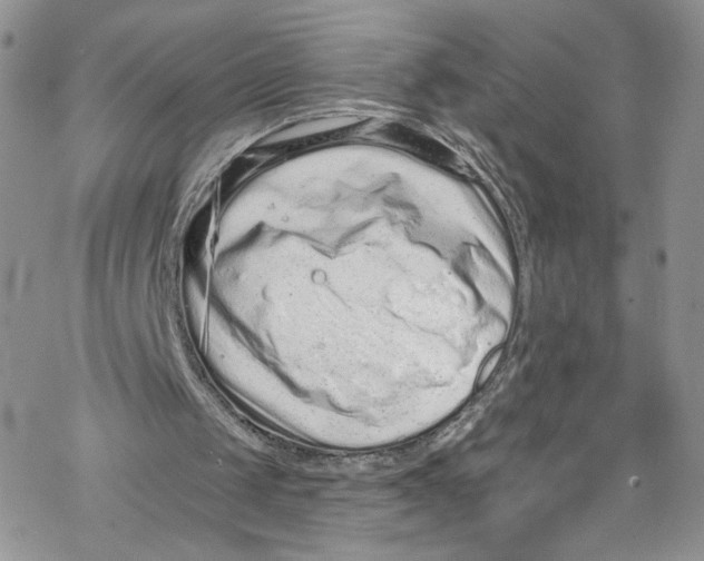 X0000069360049200606021503