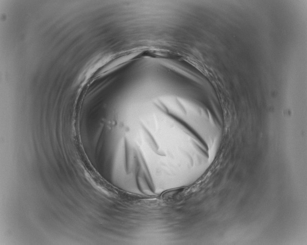 X0000069360050200606021503