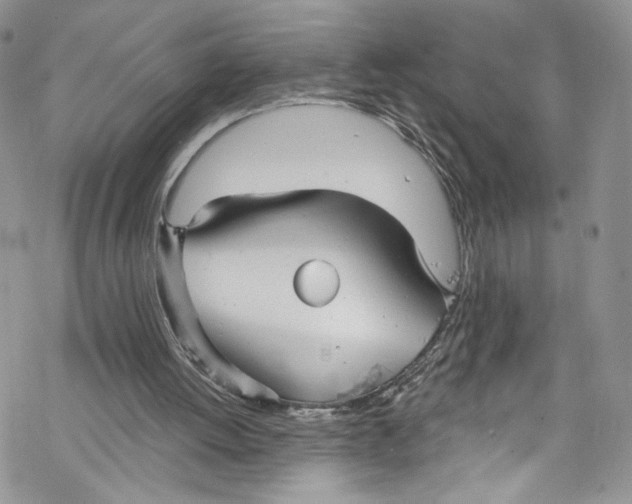 X0000069360052200606021503