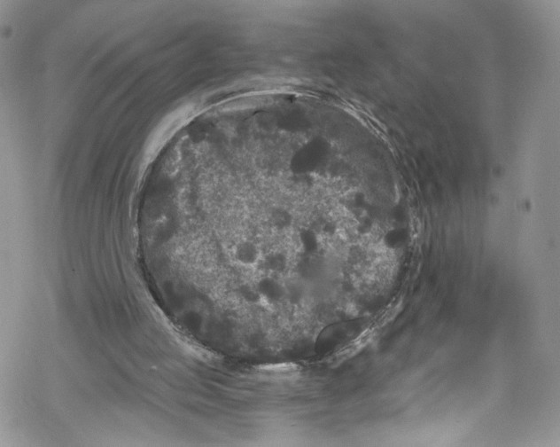 X0000069360053200606021503