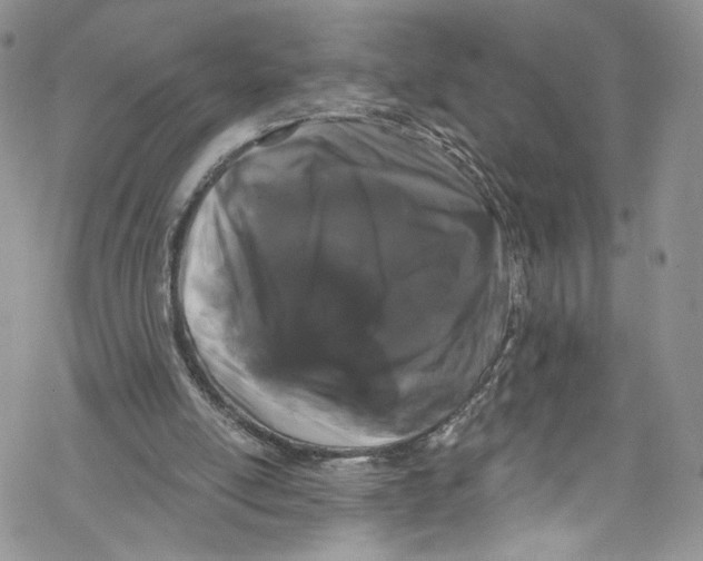 X0000069360054200606021503