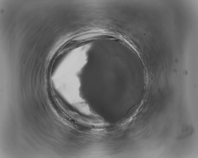 X0000069360055200606021503