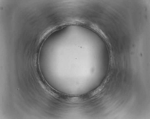 X0000069360058200606021503