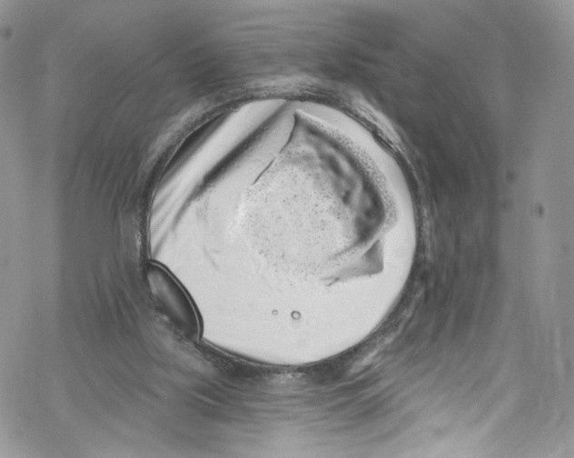 X0000069360059200606021503