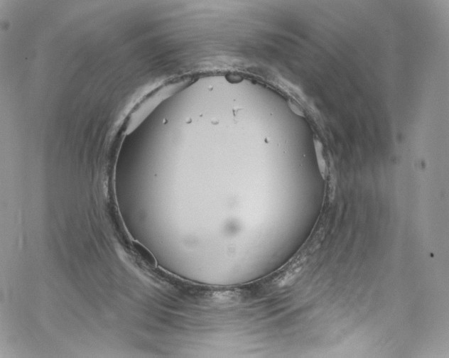 X0000069360060200606021503