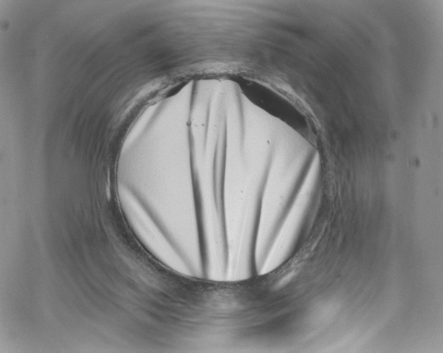 X0000069360062200606021503