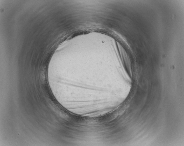 X0000069360065200606021503