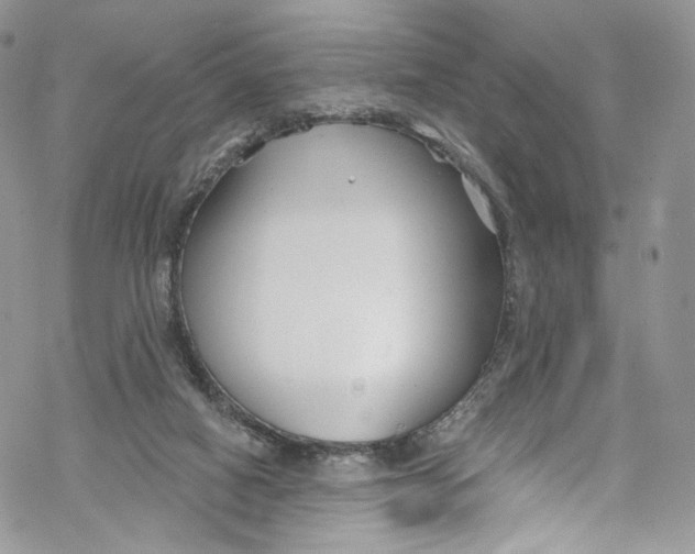 X0000069360066200606021503