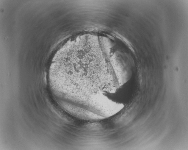 X0000069360067200606021503