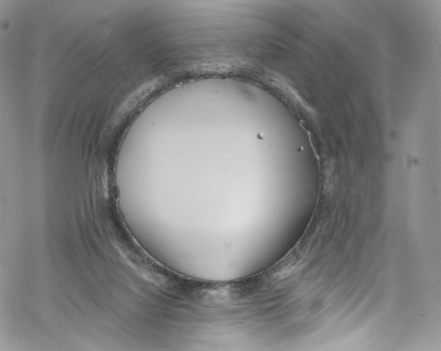 X0000069360068200606021503