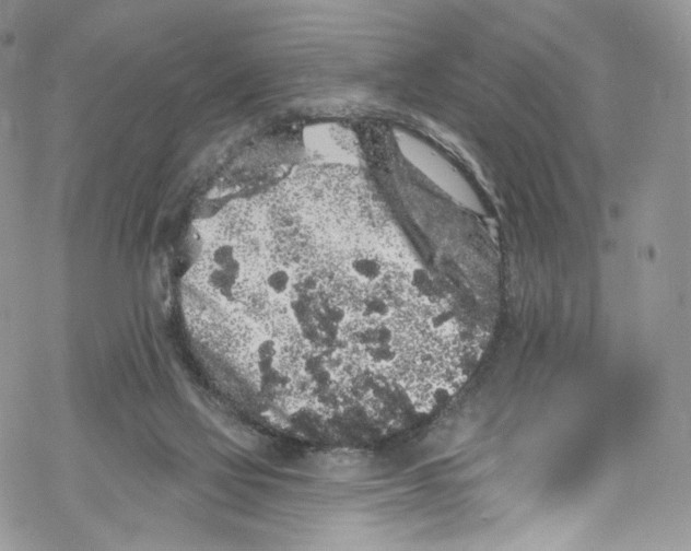 X0000069360069200606021503