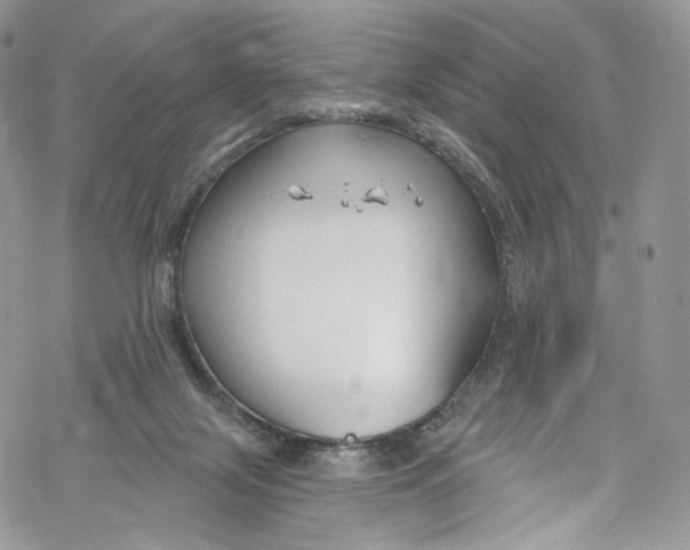 X0000069360071200606021503