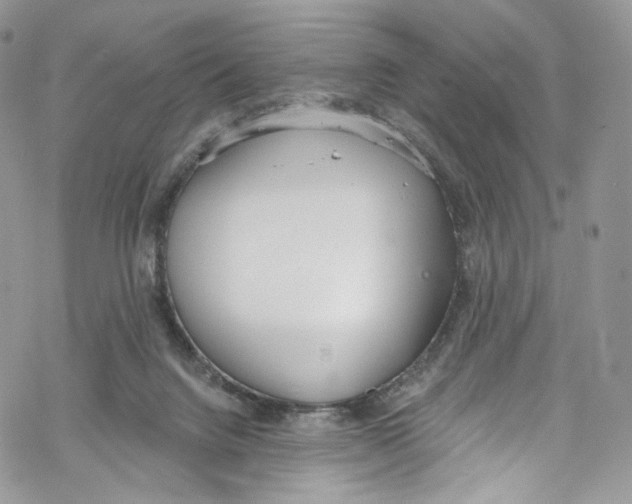 X0000069360072200606021503