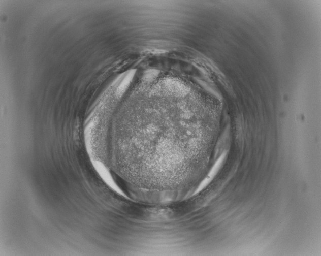 X0000069360073200606021503