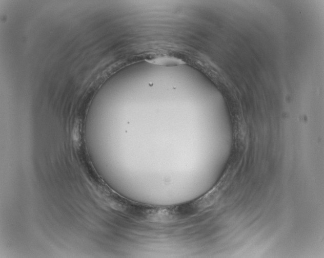 X0000069360074200606021503