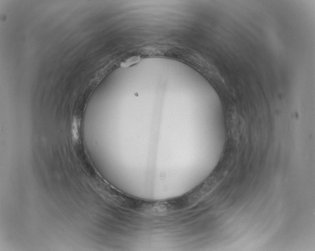 X0000069360075200606021503