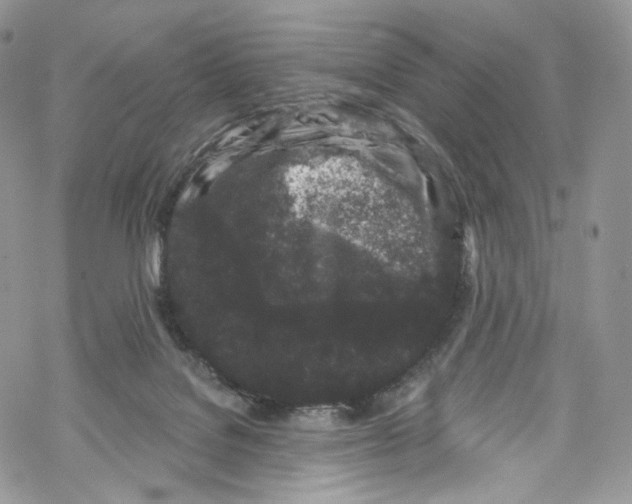 X0000069360076200606021503